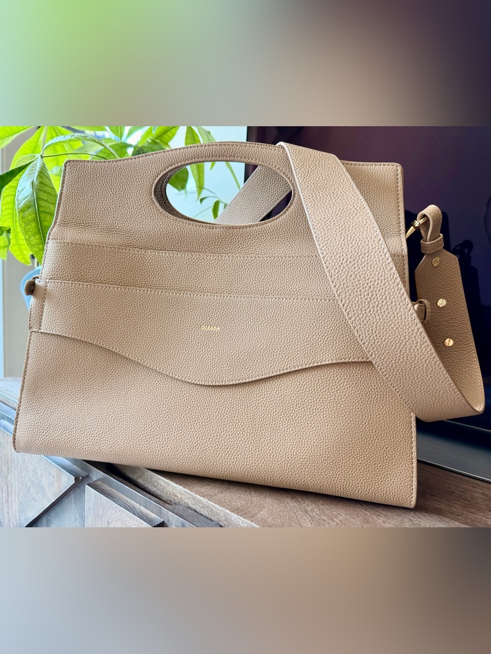 NWOT - Oleada Taupe Tote with Detachable Strap